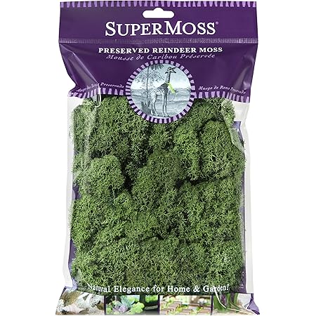 SuperMoss (23080) Reindeer Moss Preserved, Basil, 2 Ounces