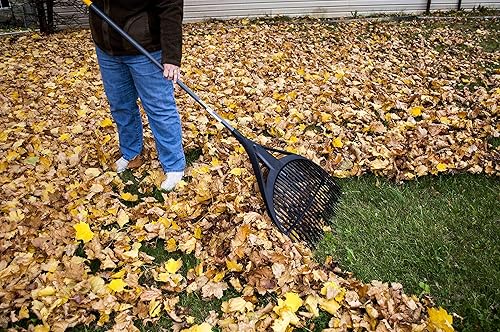 Miniatura 5 de Rastrillo de hojas con mango acolchado, 8 pulgadas True Temper  2919100, (26-Inch Poly Rake), NA