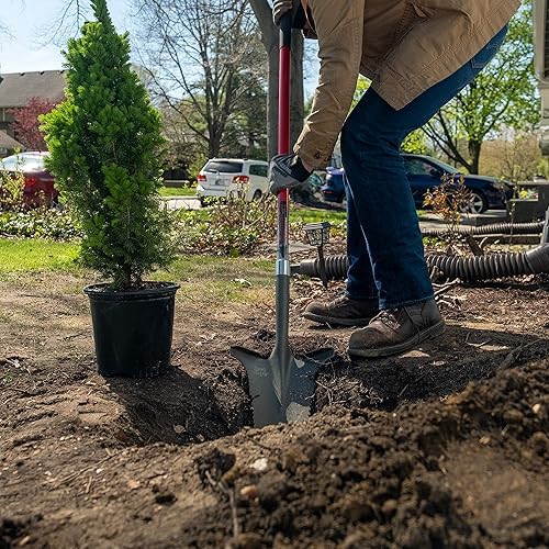 Vista 28 de Radius Garden – Pala elimina raíces
