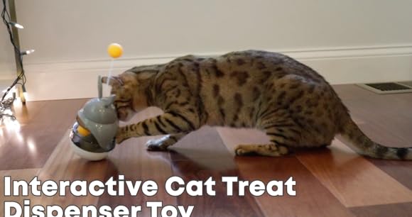 cat treat dispenser diy