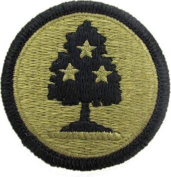 Tennessee Army National Guard OCP Multicam TM Patch
