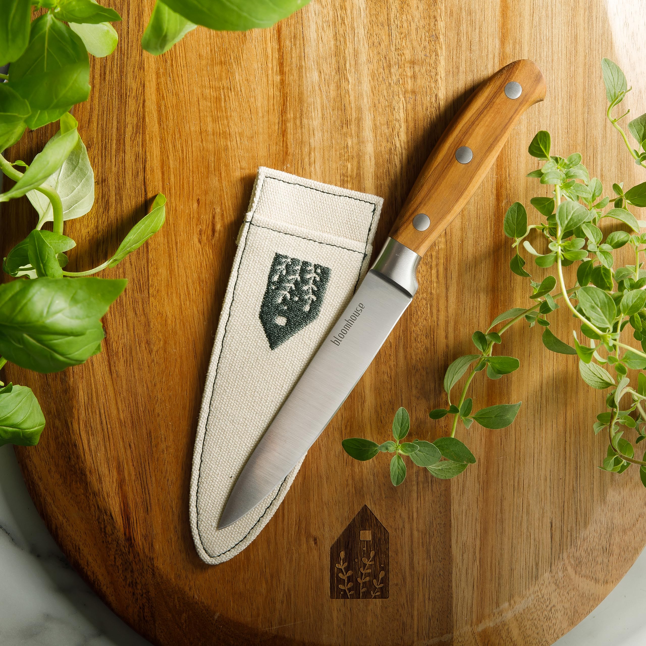 Amazon.com: Bloomhouse - Two Time Oprah's Favorite Things Winner