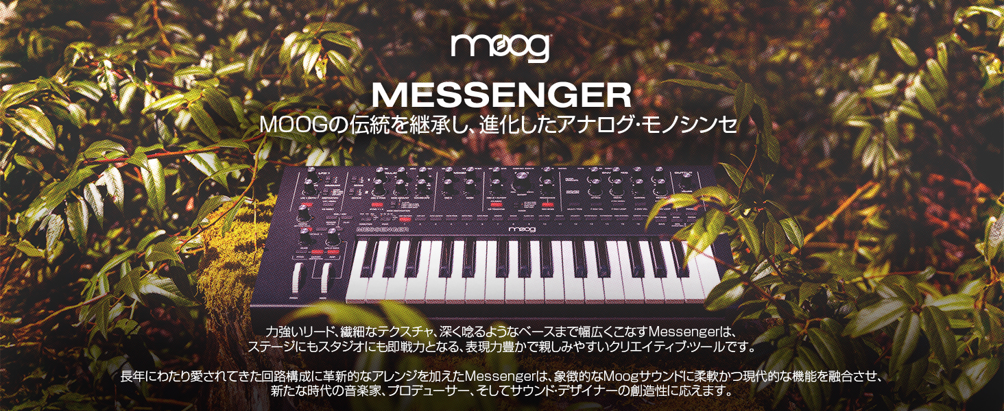 Amazon.co.jp: MOOG Messenger モノフォニック・アナログ・キーボード