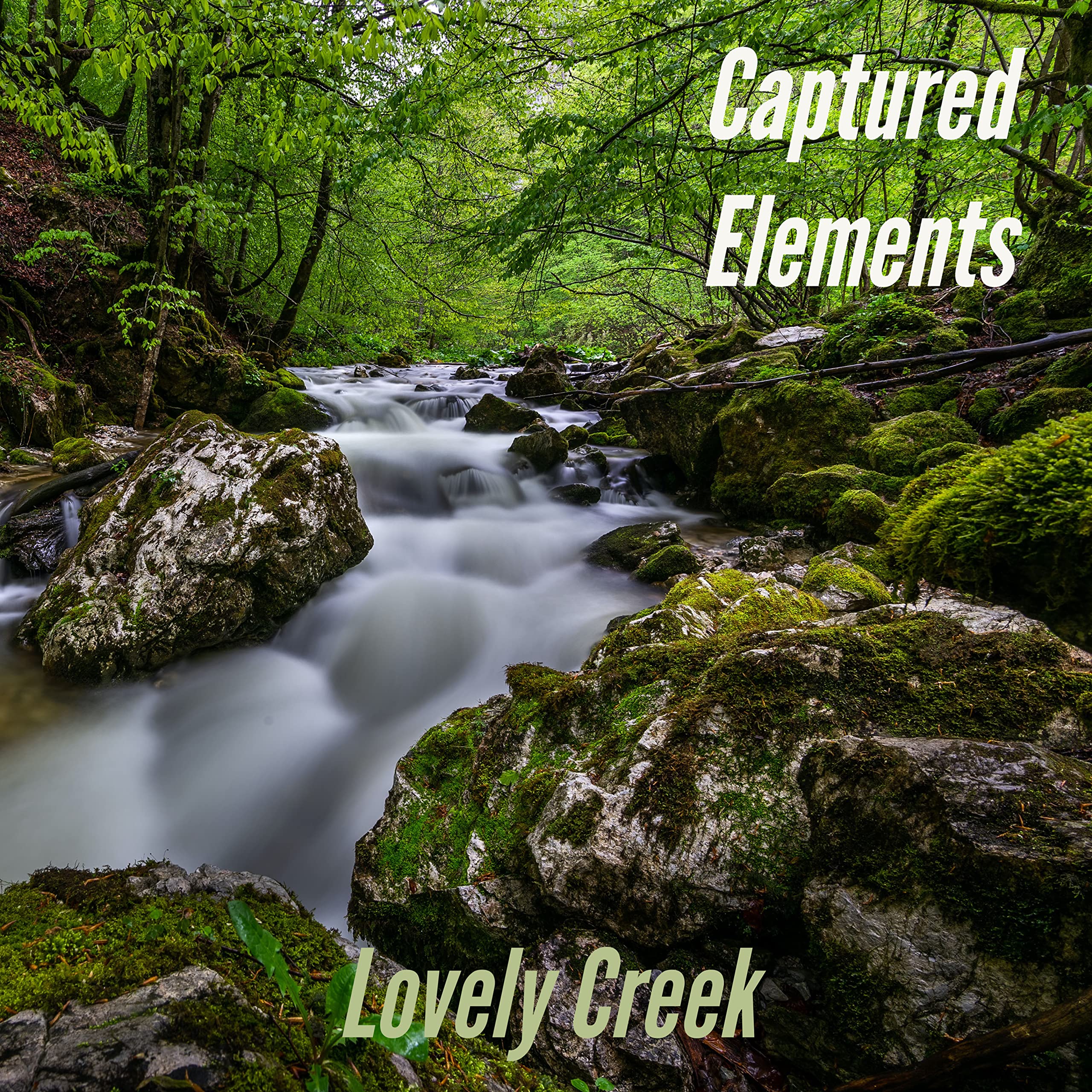 Captured Elements
