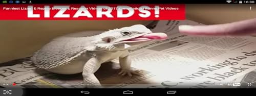 Funny Videos 30