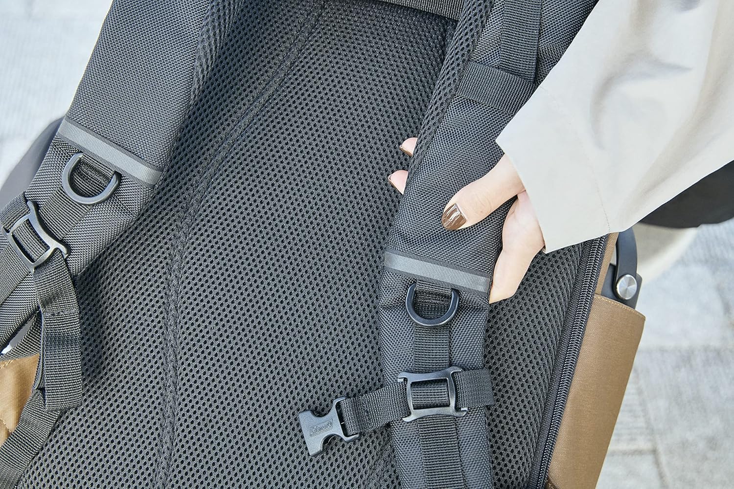 Coleman Shield 25 Backpack, multicolor (gray/black)