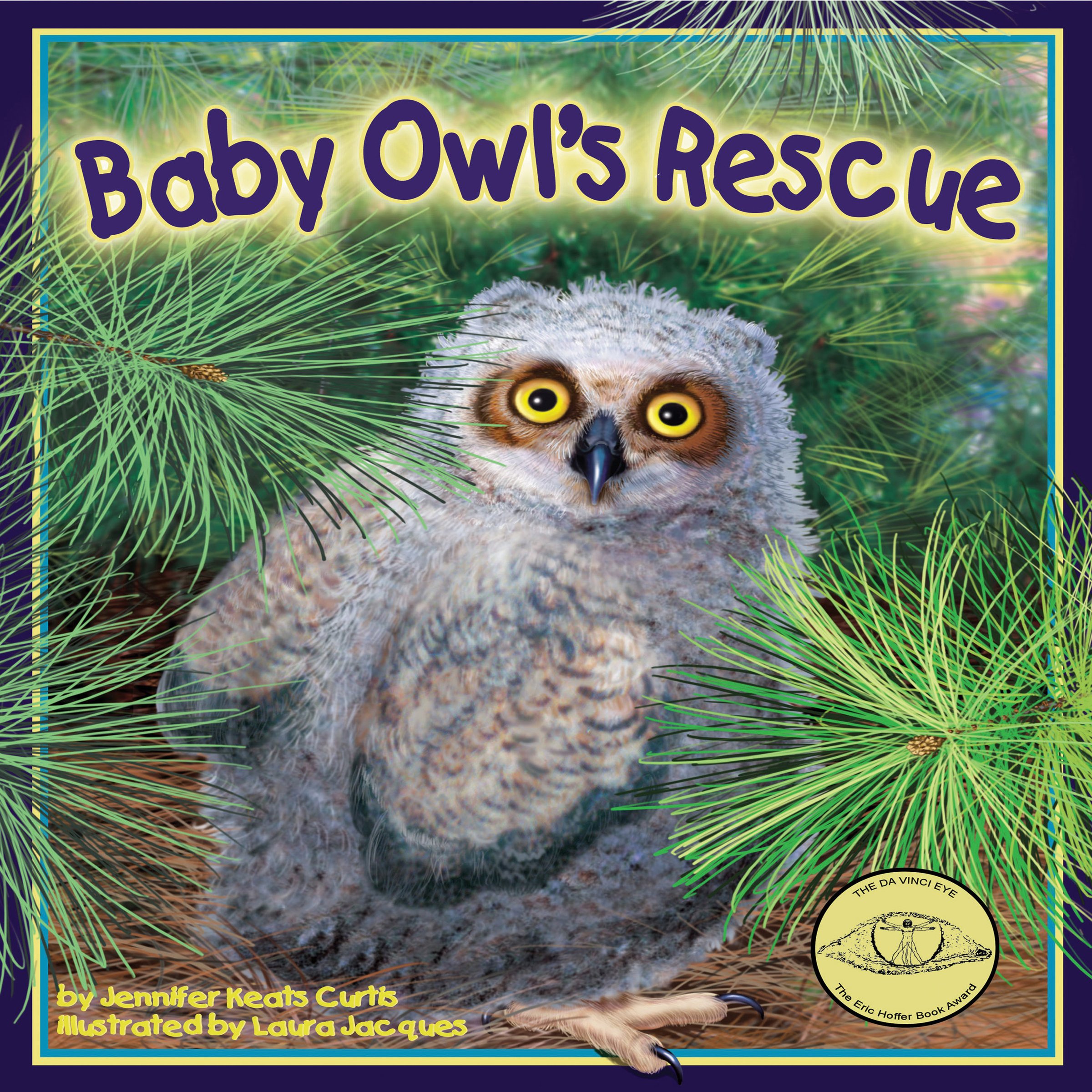 Baby Owl's Rescue