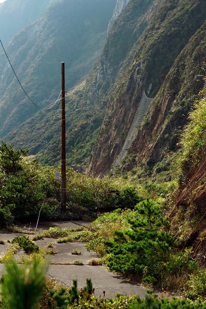 DVD 廃墟賛歌 廃道クエスト 廃道レガシイ 廃道ビヨンド 3枚