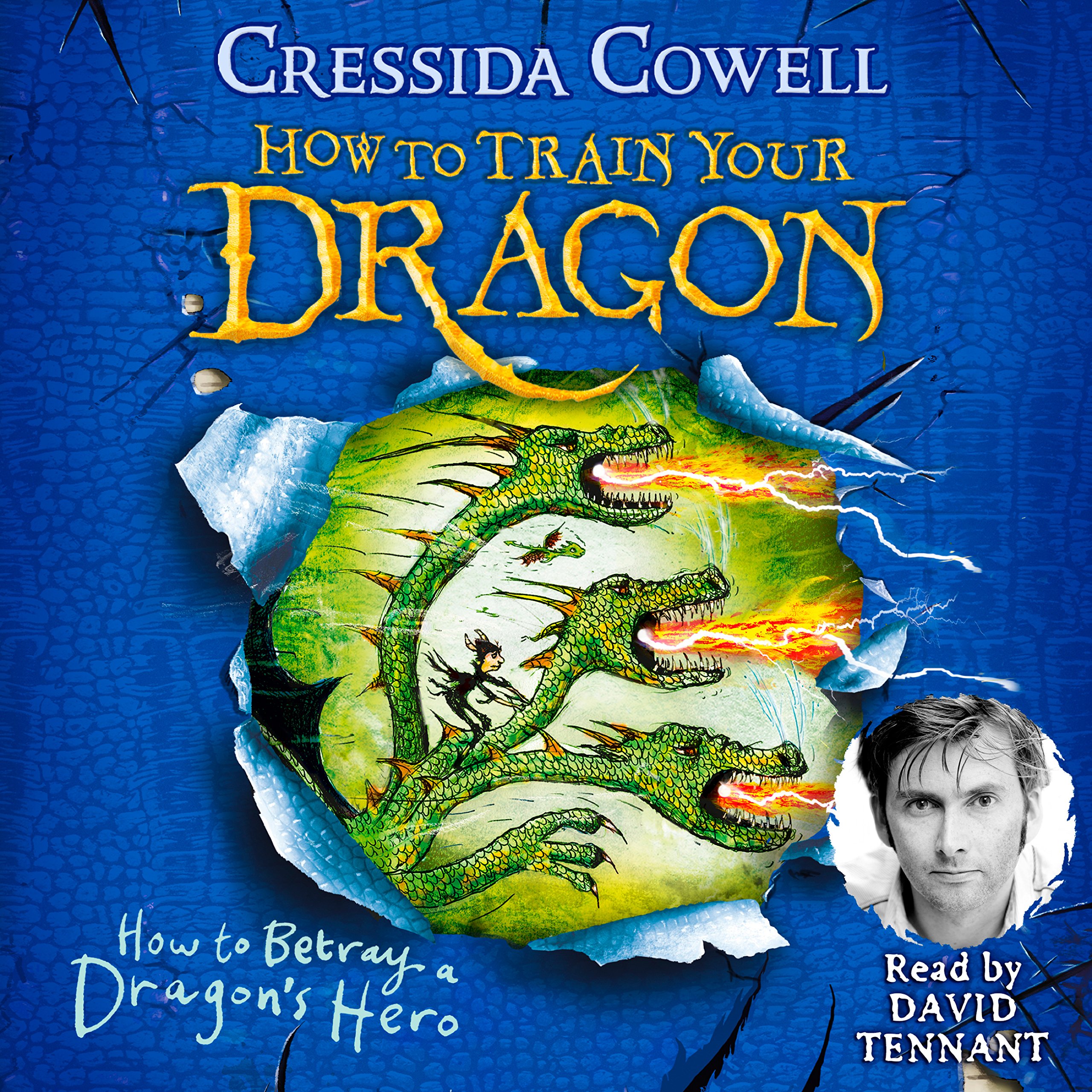 Cover art for How to Betray a Dragon's Hero
