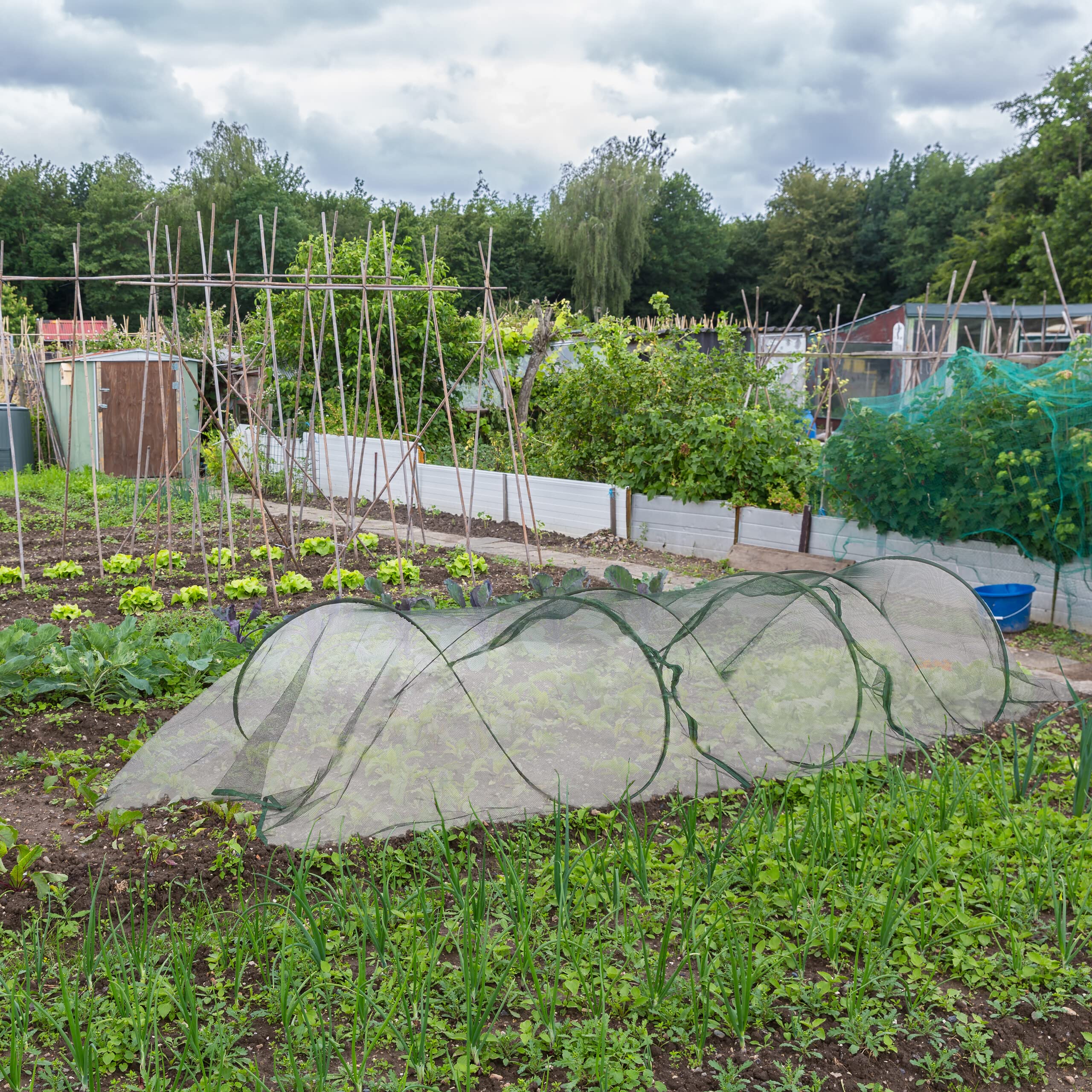 Relaxdays Tunnel de Croissance Pliable, système « Pop up », 3,5 m, Filet, pour légumes et Fraises, Vert foncé