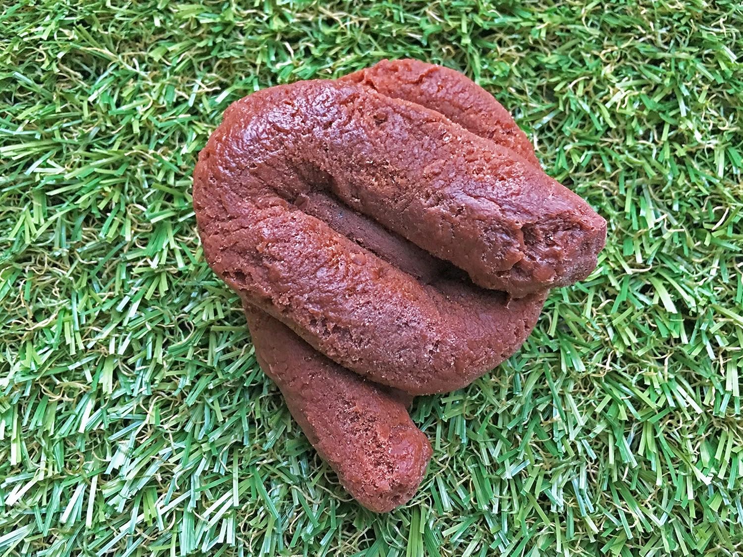 dog poop soap