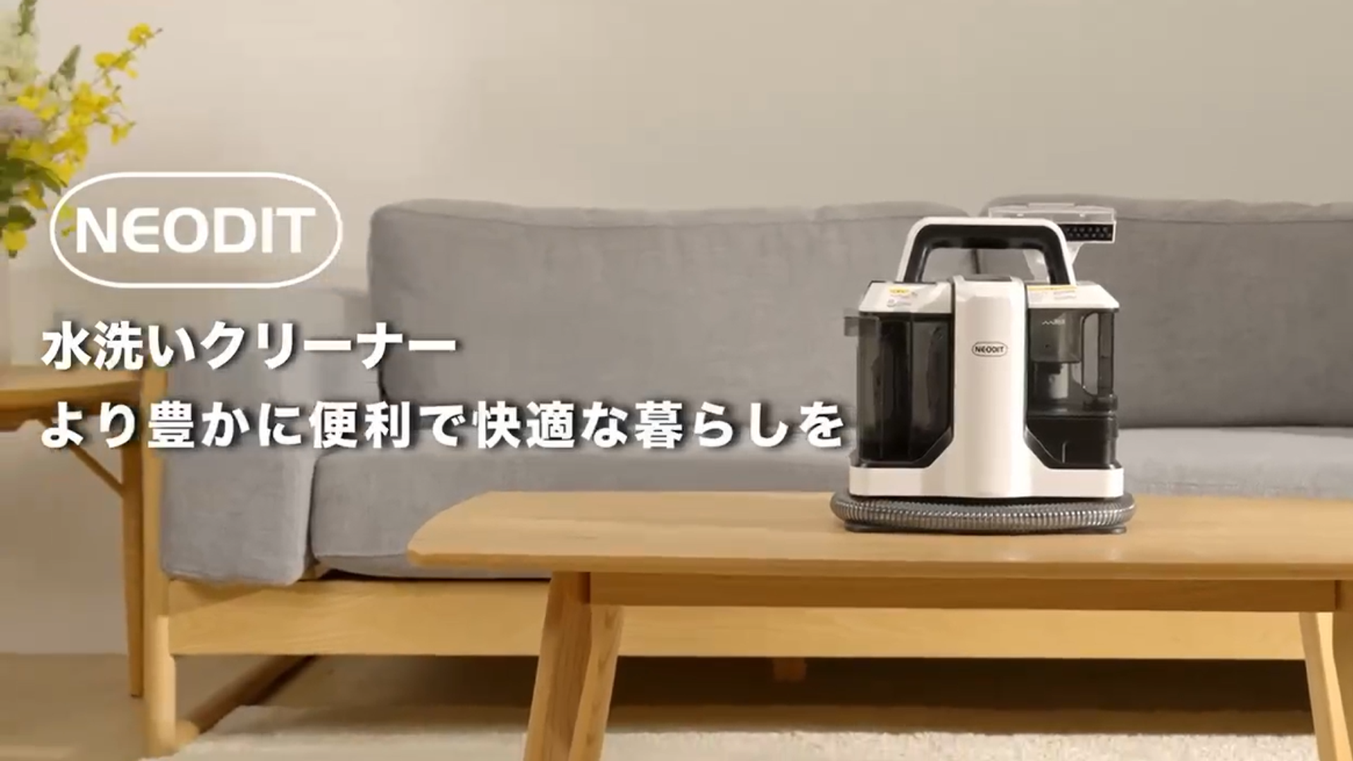 Amazon.co.jp: NEODIT(ネオディット): ホーム・クリーナー