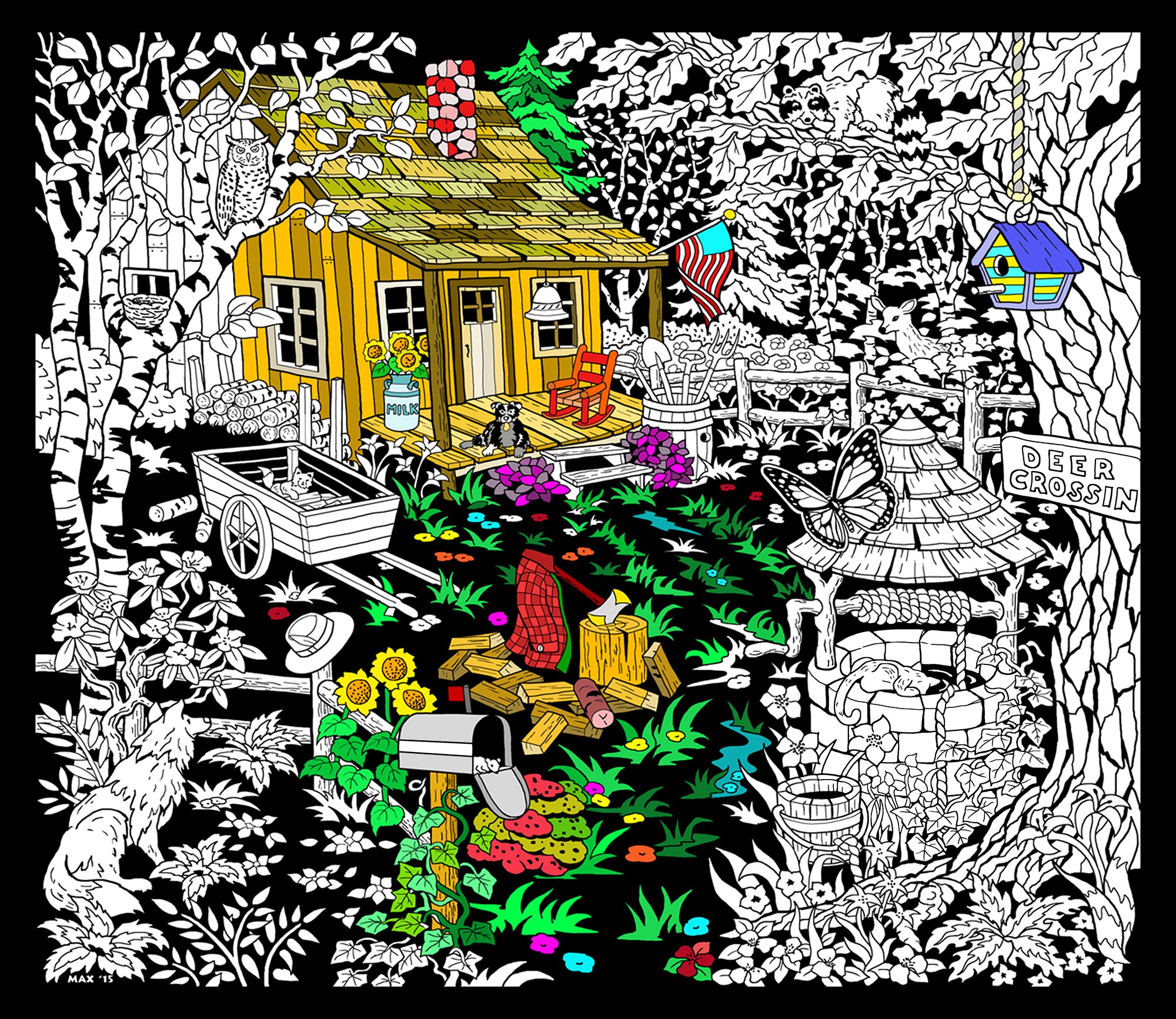 Stuff2Color Cabin Well - 23x20 Fuzzy Velvet Detailed Coloring Poster