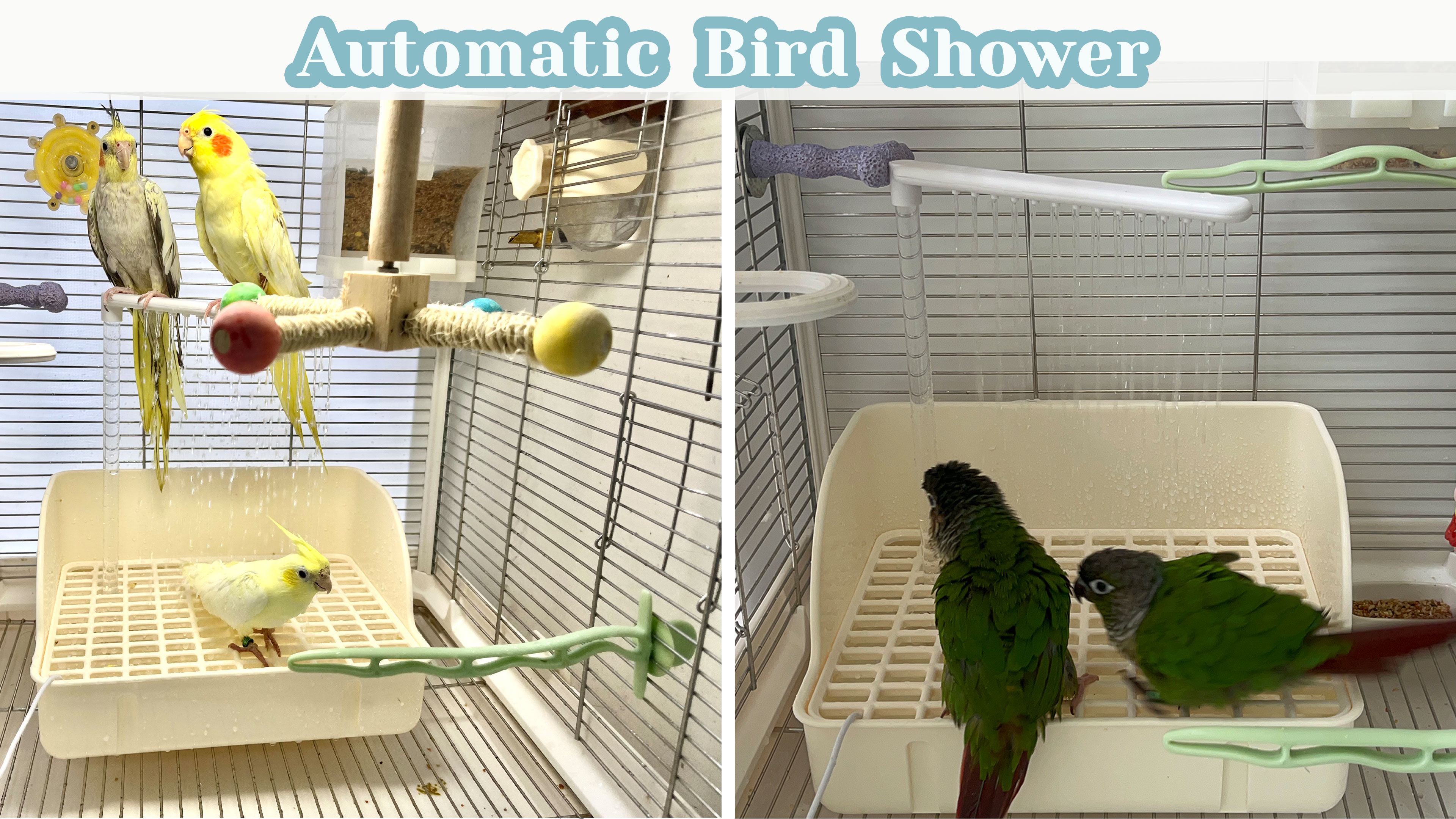 Automatic Parakeet Bird Bath with Pump, Large Bird Shower Fountain Indoor Bathtub with Running Water, Parrot Bath Tub Faucet for Pet Birds, African Grey, Cockatiel, Conure, Budgie, Lovebird - image 7