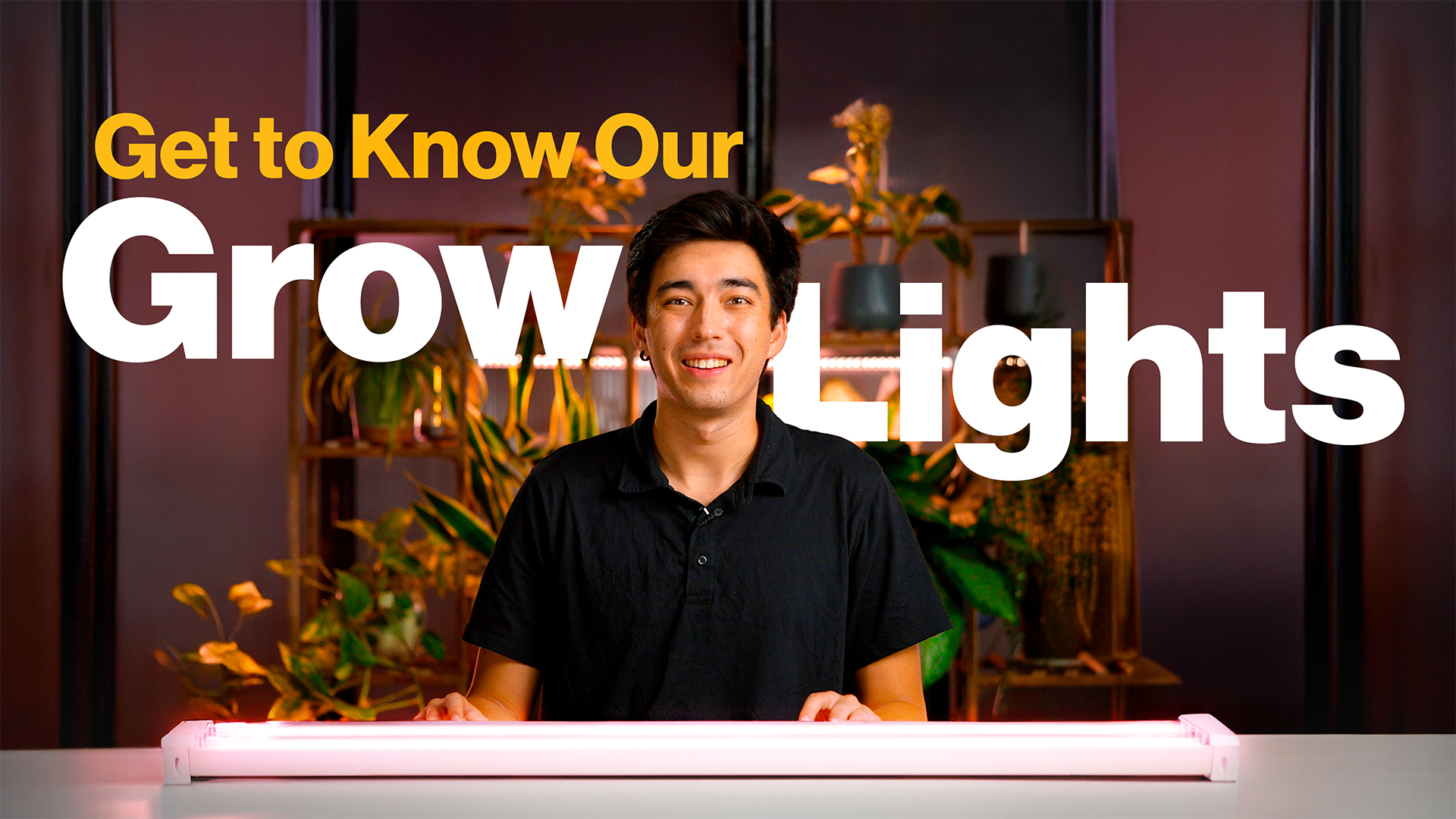 Amazon.com : Sunco 2ft Grow Light LED, 20W, Full Spectrum, for