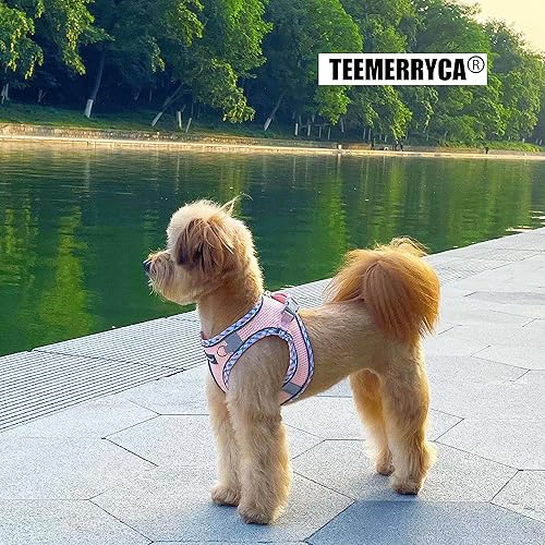Miniatura 7 de TEEMERRYCA Juego de arnés y correa para perro para todo tipo de clima, fácil de poner y quitar, arnés reflectante ajustable sin tirones para