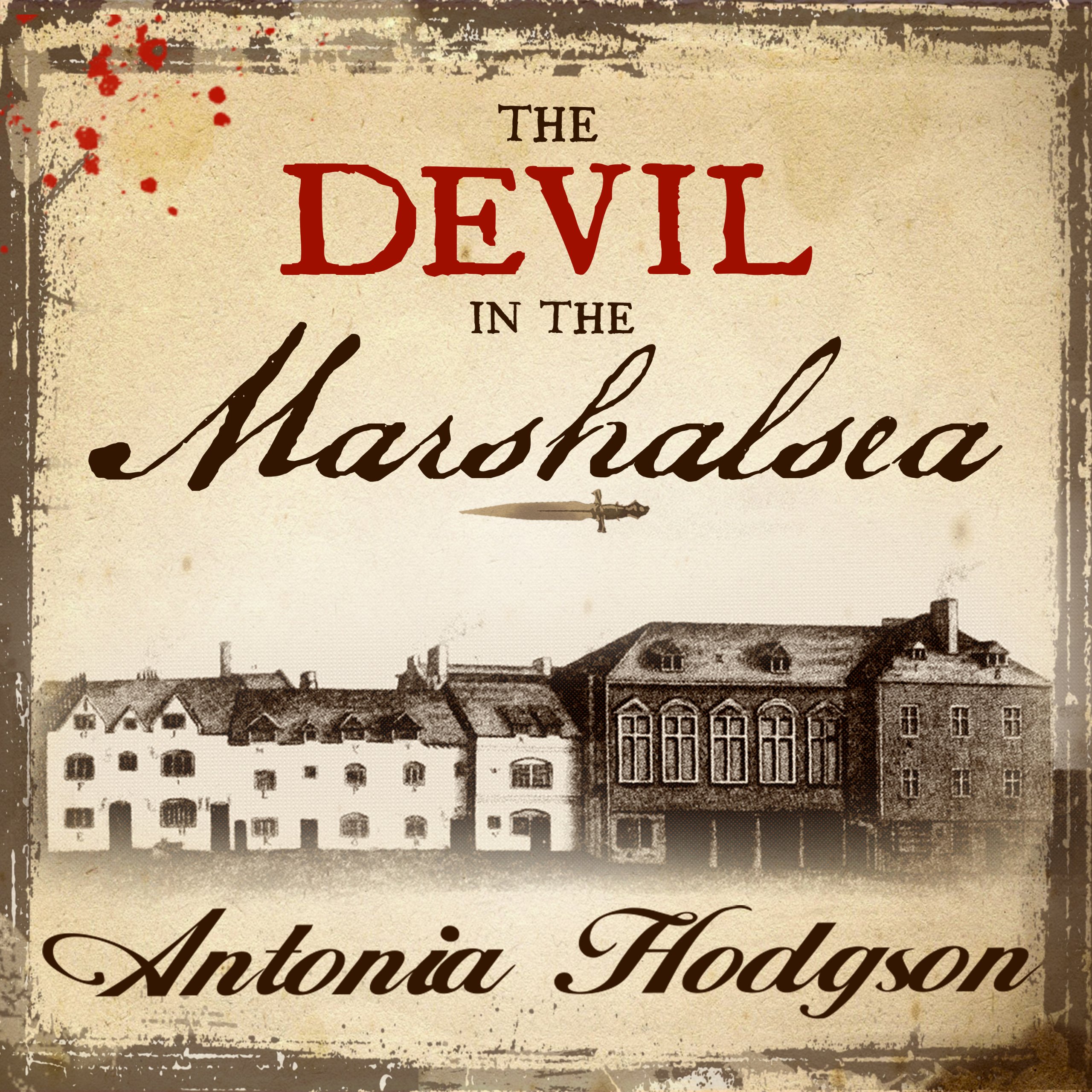 Cover art for The Devil in the Marshalsea