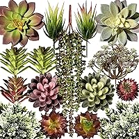 Miltonson 16 Pack Artificial Succulent Plants - Realistic Fake Succulents Bulk, Unpotted Faux Aloe Cactus for Home Decor & Gifts