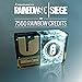 Tom Clancy's Rainbow Six Siege - Pack de 7560 Crédits [Code Jeu PC - Uplay]