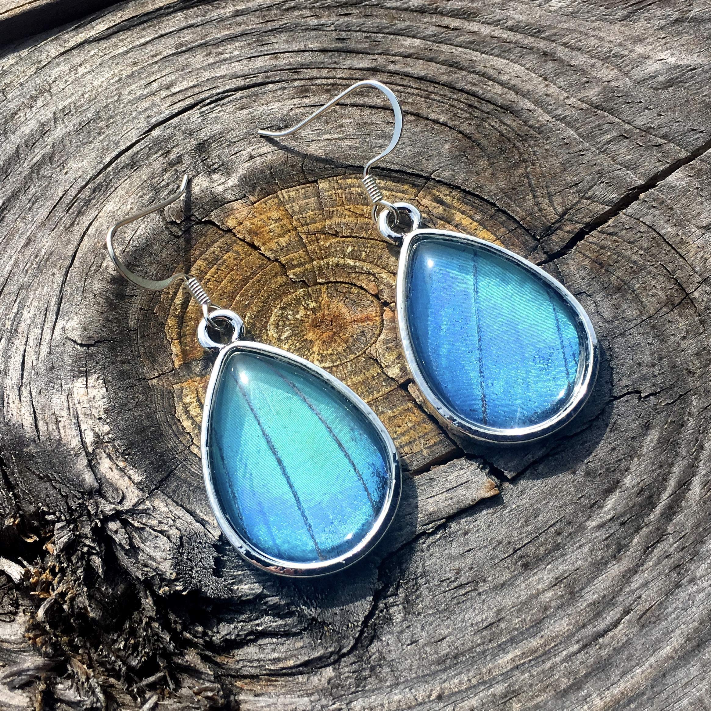 Chrysalis StudiosReal butterfly wing earrings for women Monarch butterfly earrings Taxidermy jewelry Real bug earrings Insect earrings