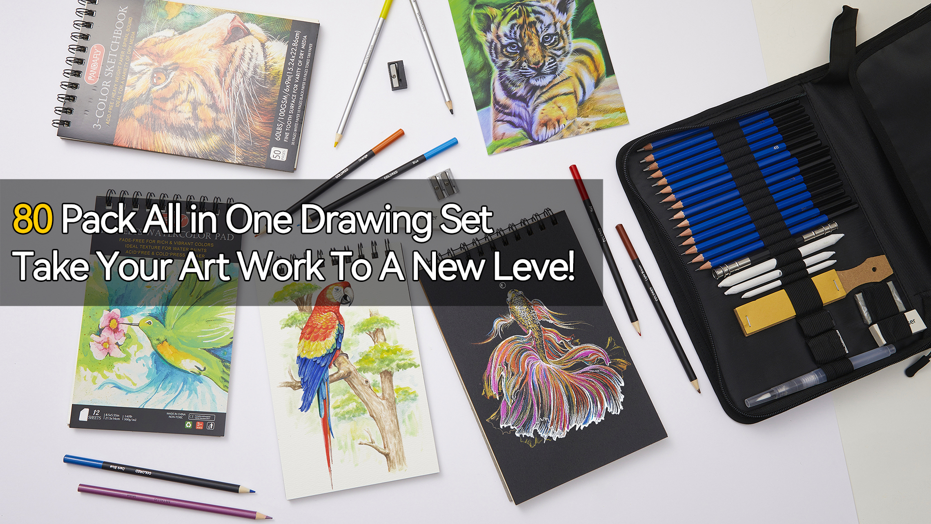 Amazon.com : PANDAFLY 80 Drawing Sketching Kit Set - Pro Art