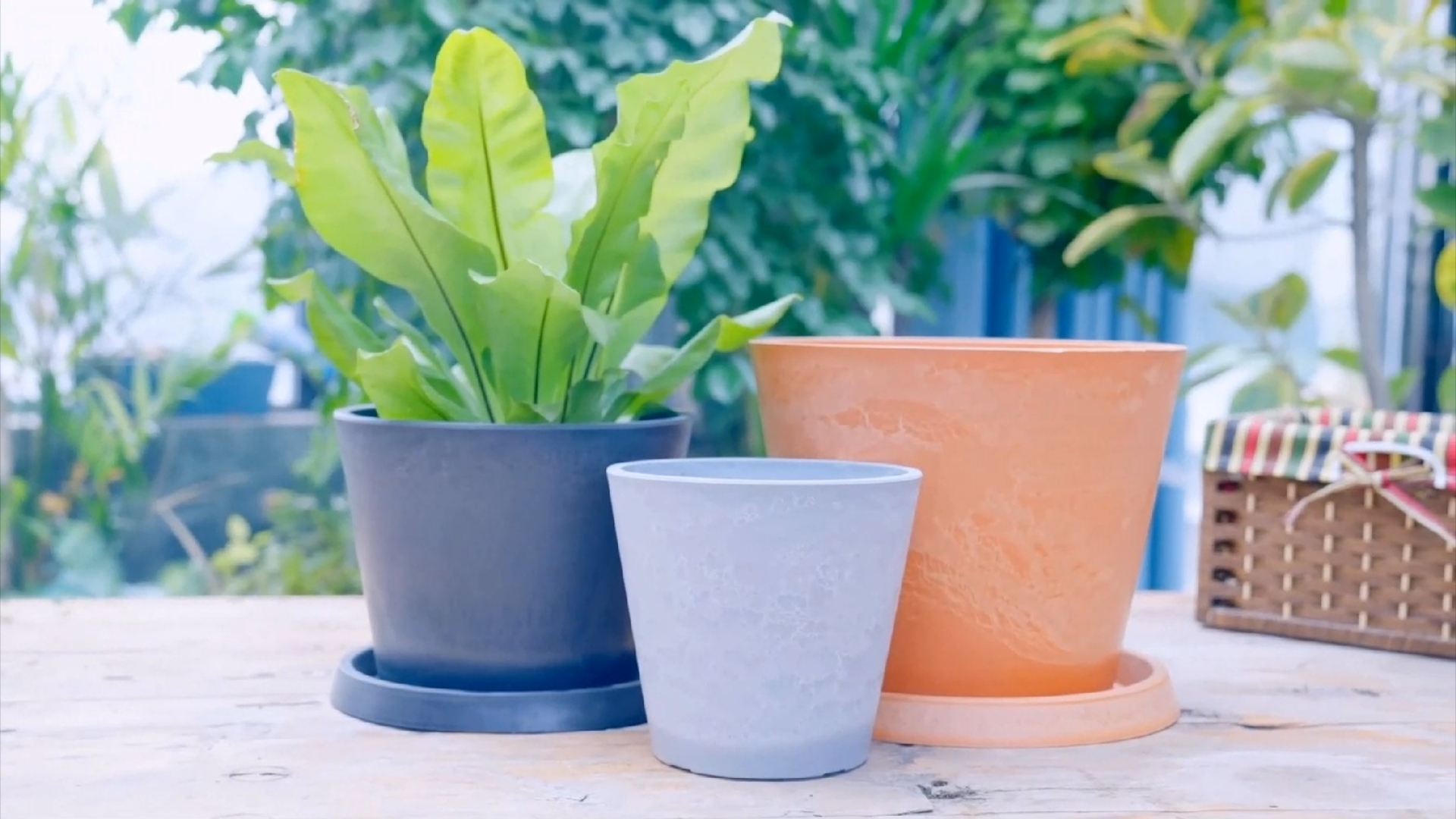 Amazon.co.jp: GreenShip 植木鉢 12号 大型 軽量 丈夫 石調 プランター