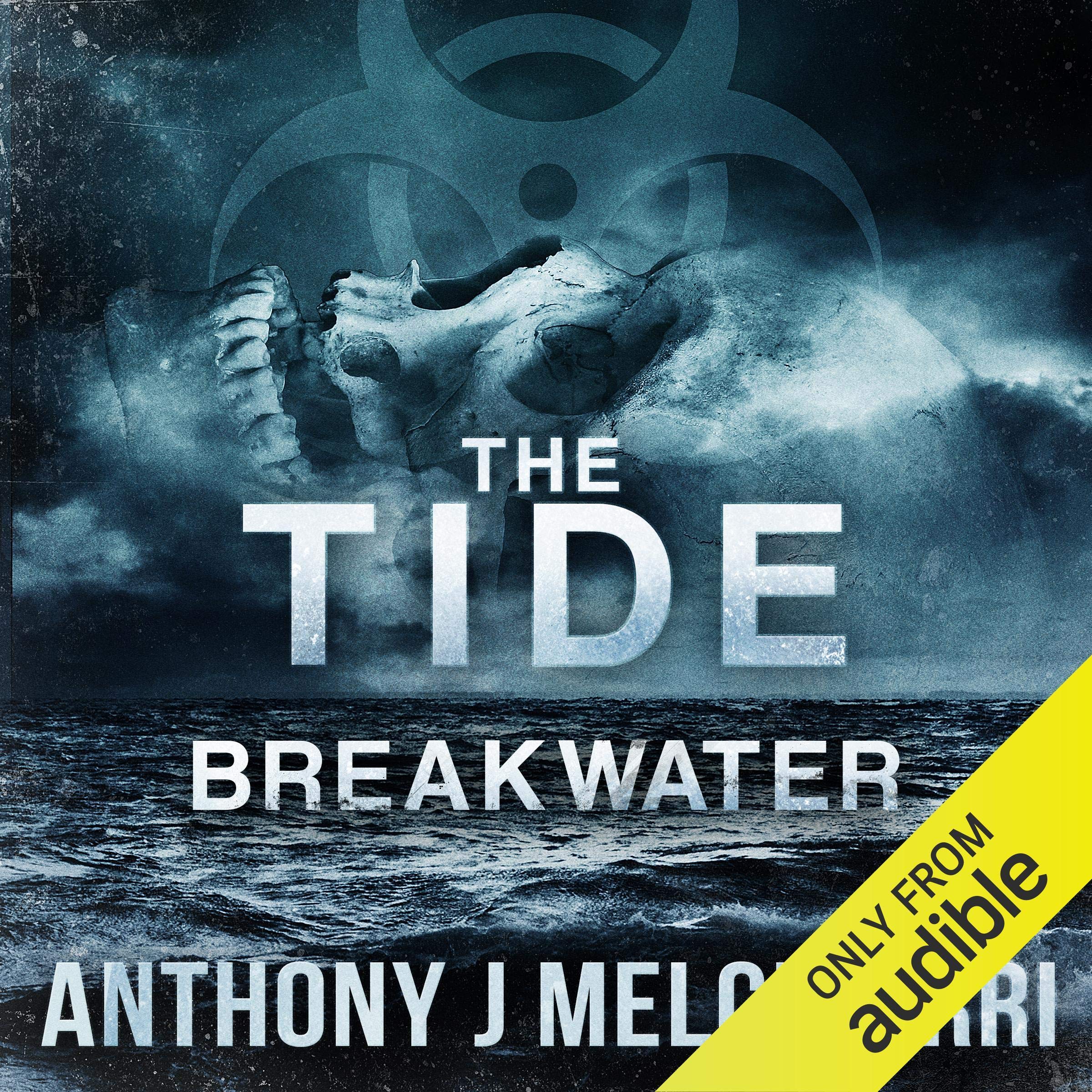Cover art for Breakwater: Tide Series, Book 2