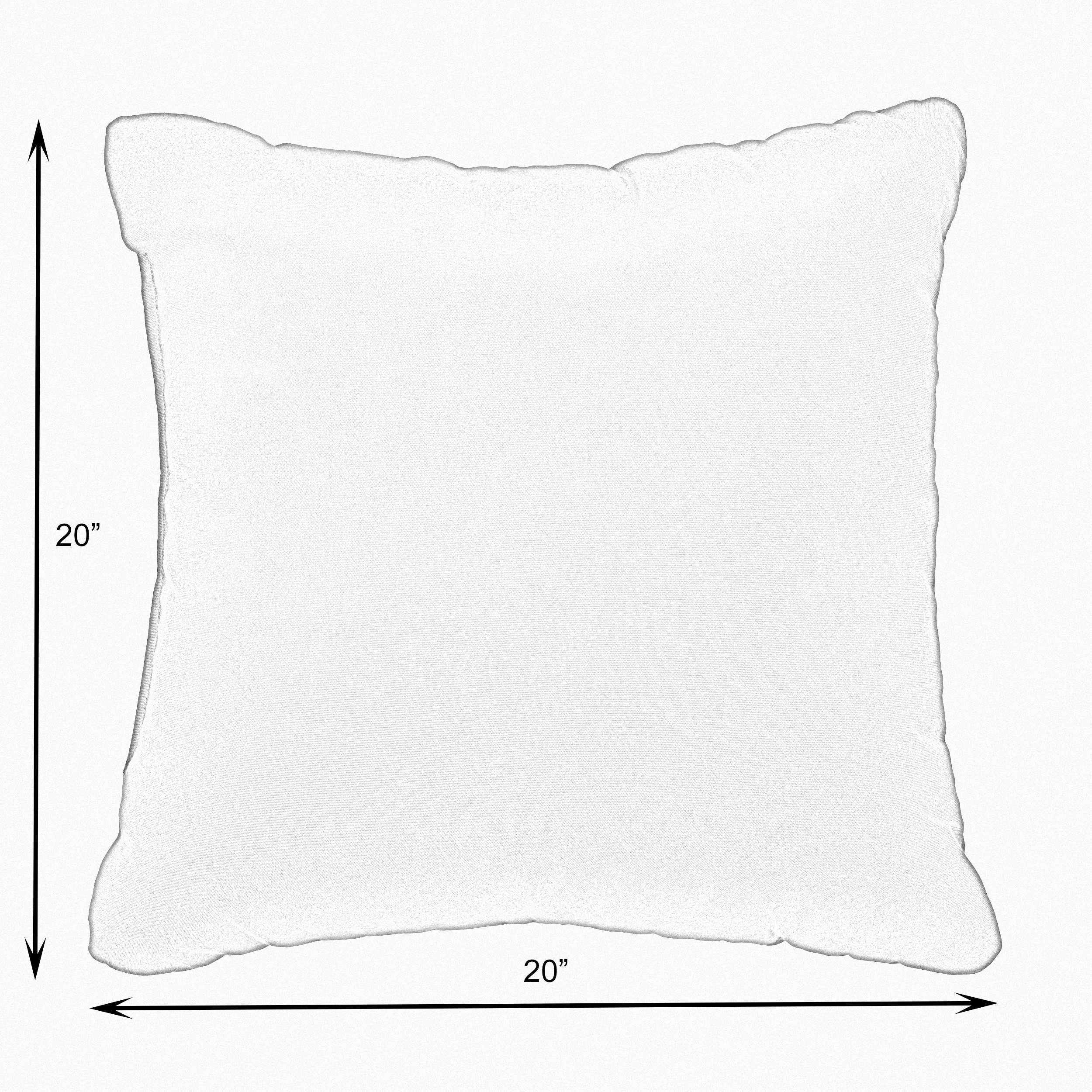 Mozaic Home AMPS112172 Indoor Outdoor Sunbrella Square Pillows, Set of