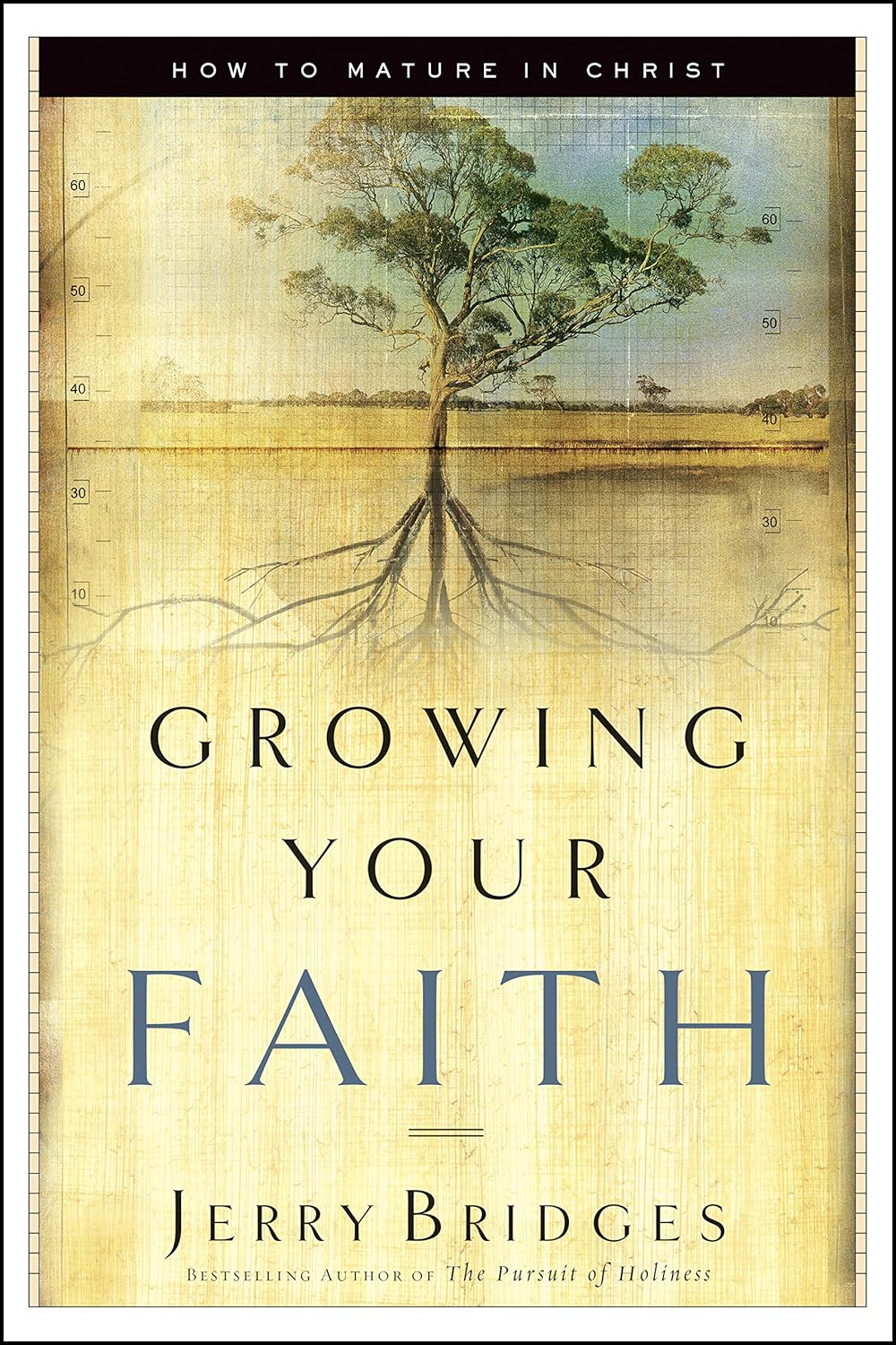 Growing Your Faith - How to Mature in Christ Paperback