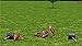 RC-AirSim - RC Model Airplane Flight Sim