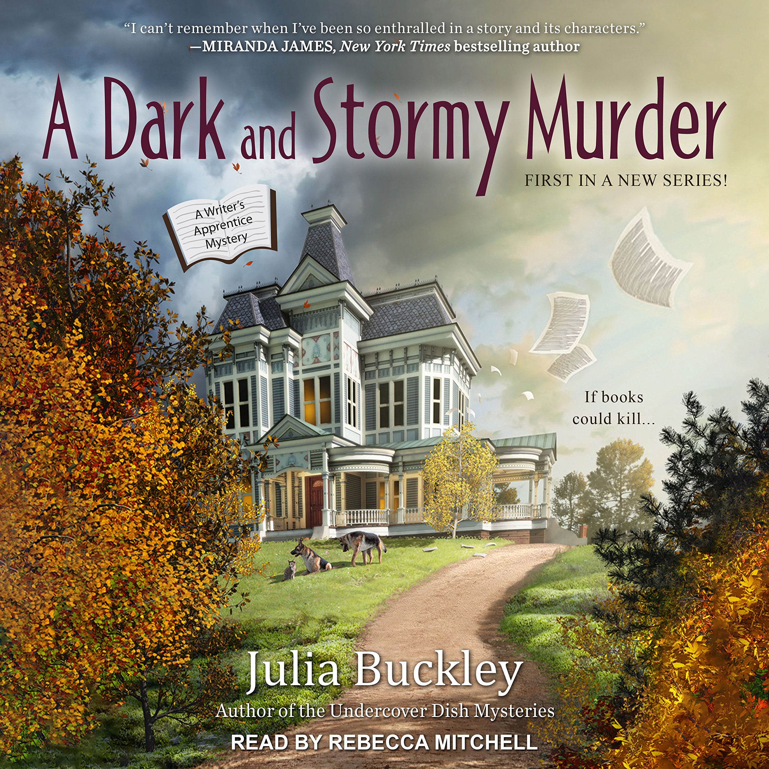 Cover art for A Dark and Stormy Murder