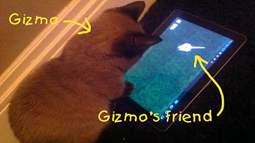 Gizzys Friend - a Cat Toy