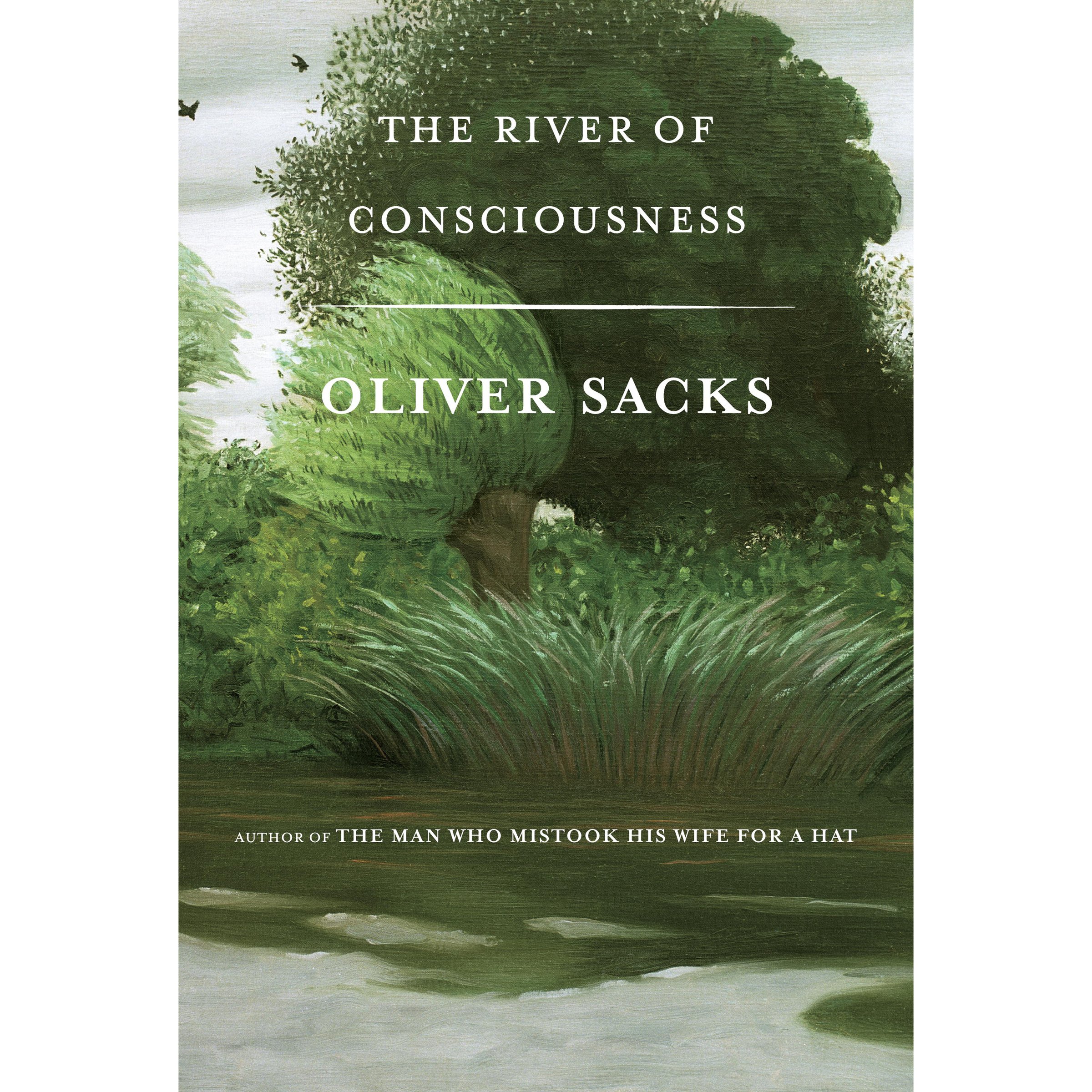 Cover art for The River of Consciousness