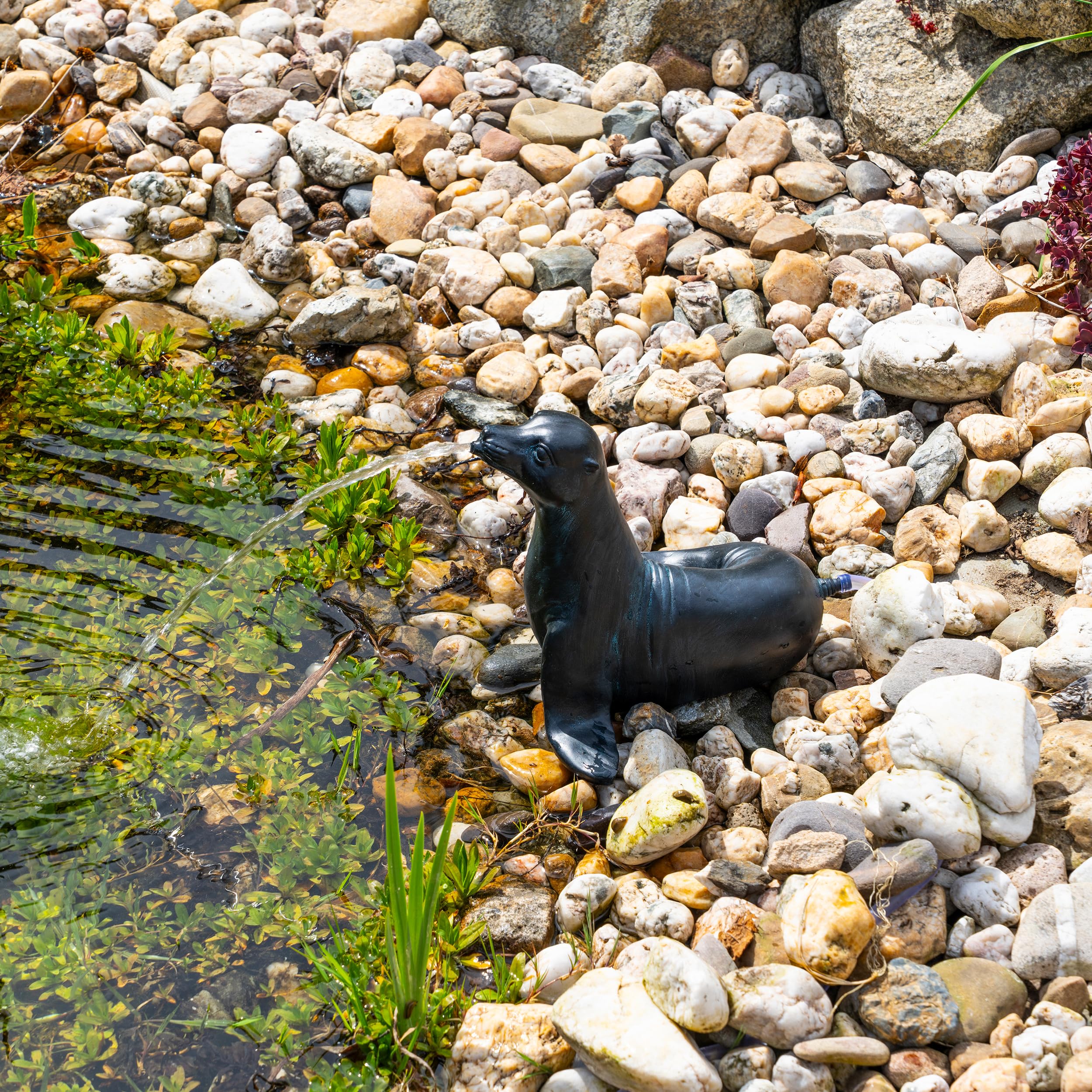 Esotec Solar Wasserspeier Komplettset, Seehund Figur Sammy, Gartenteich Wasserspiel, Vogeltränke, Vogelbad, Gartenbrunnen mit Solarpumpe, 2 Schläuche, H=25cm 101676