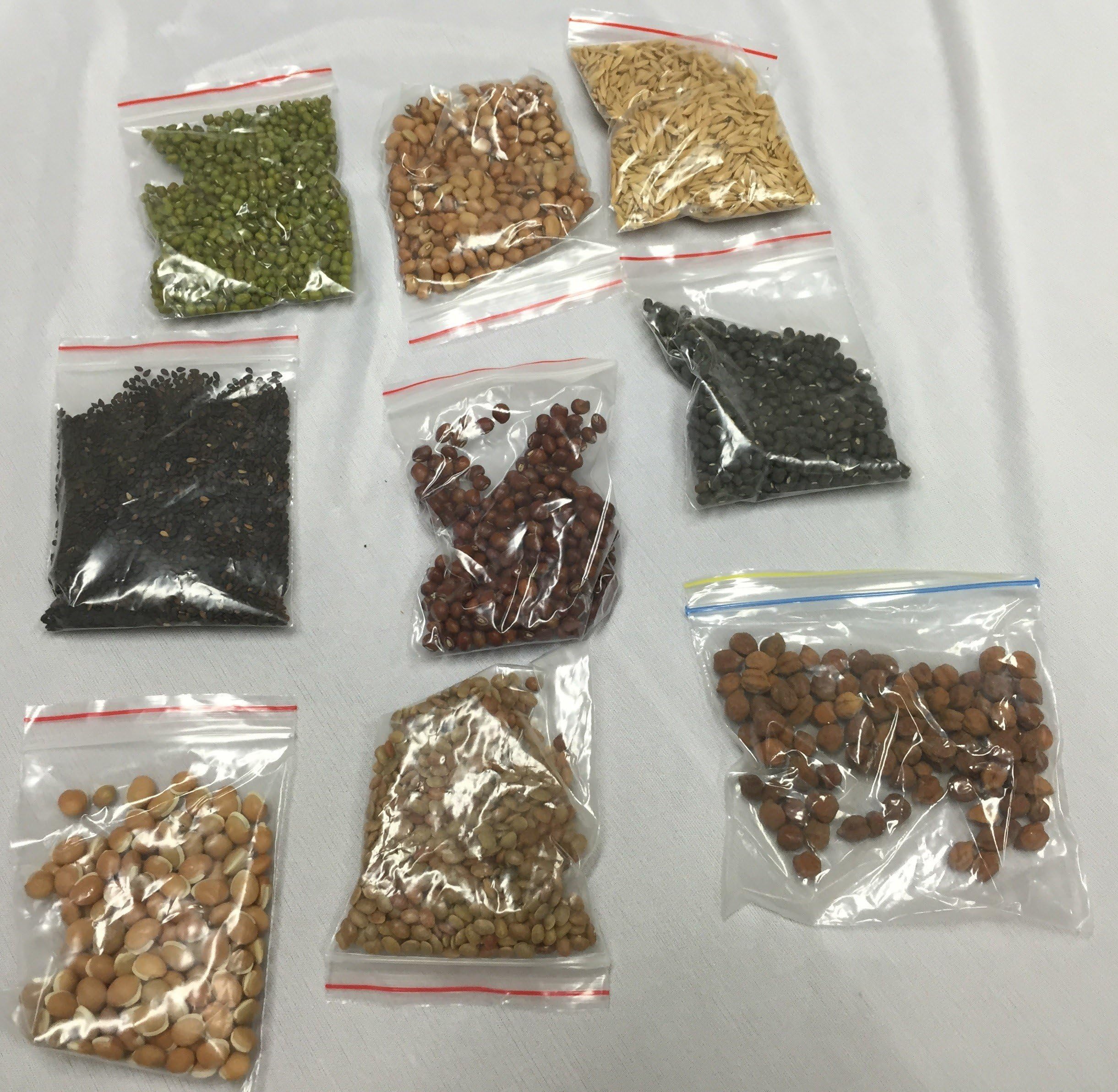 Navadhanya - Nav Dhanya (Sacred 9 Whole Grains)