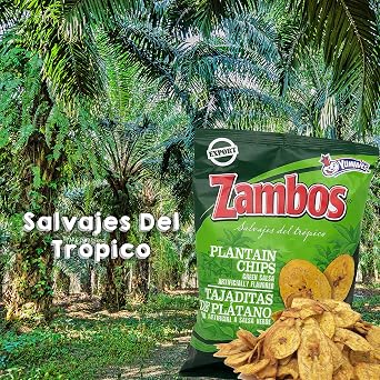 Zambos Plantain Chips Delicious Plantain Chips with Green Salsa (Tajaditas de Platano con Salsa Verde). Unique Flavor from Salvajes del Tropico - 5.46 ounces (155grams) 3 PACK