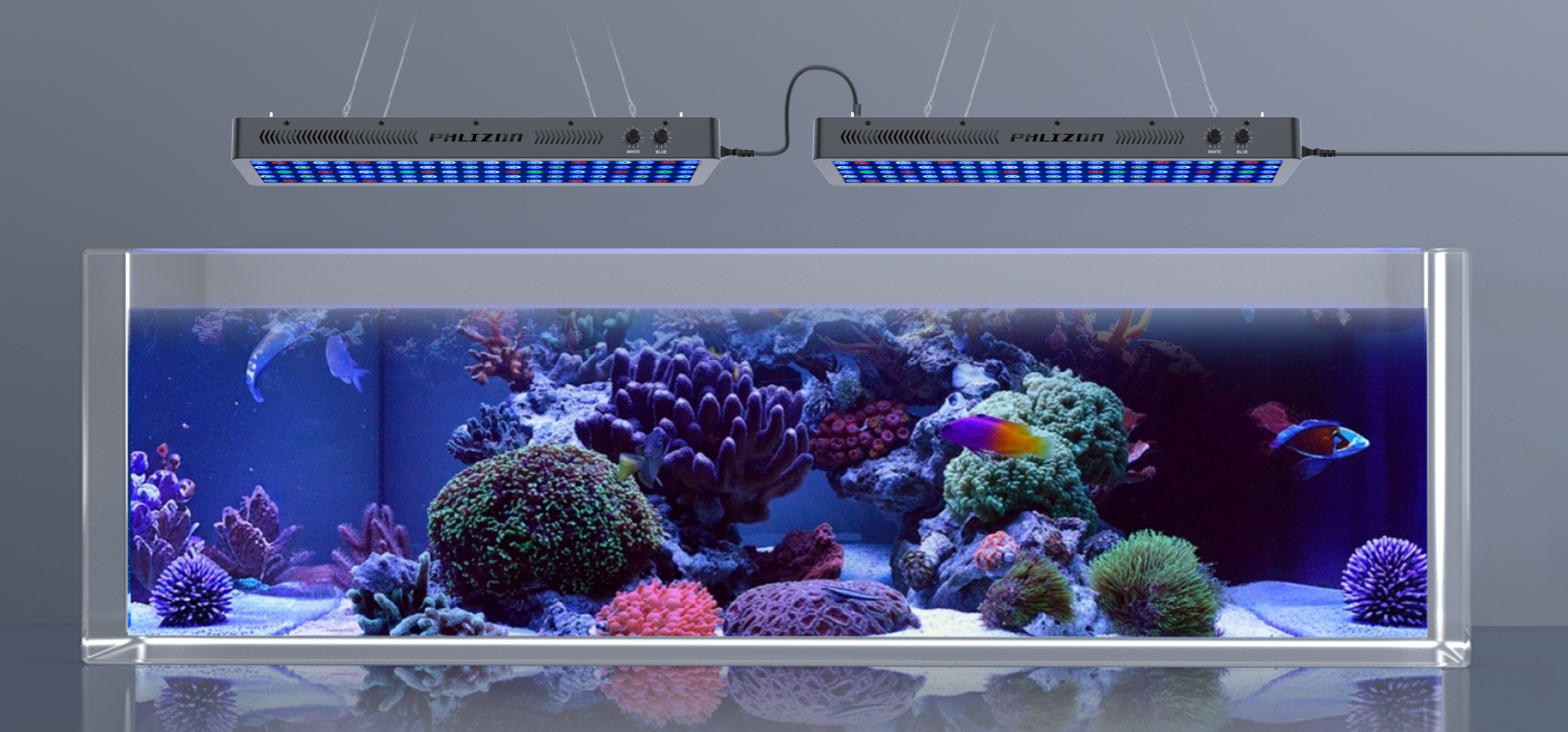 Phlizon 300W Dimmable Full Spectrum Aquarium LED Light Fish Tank