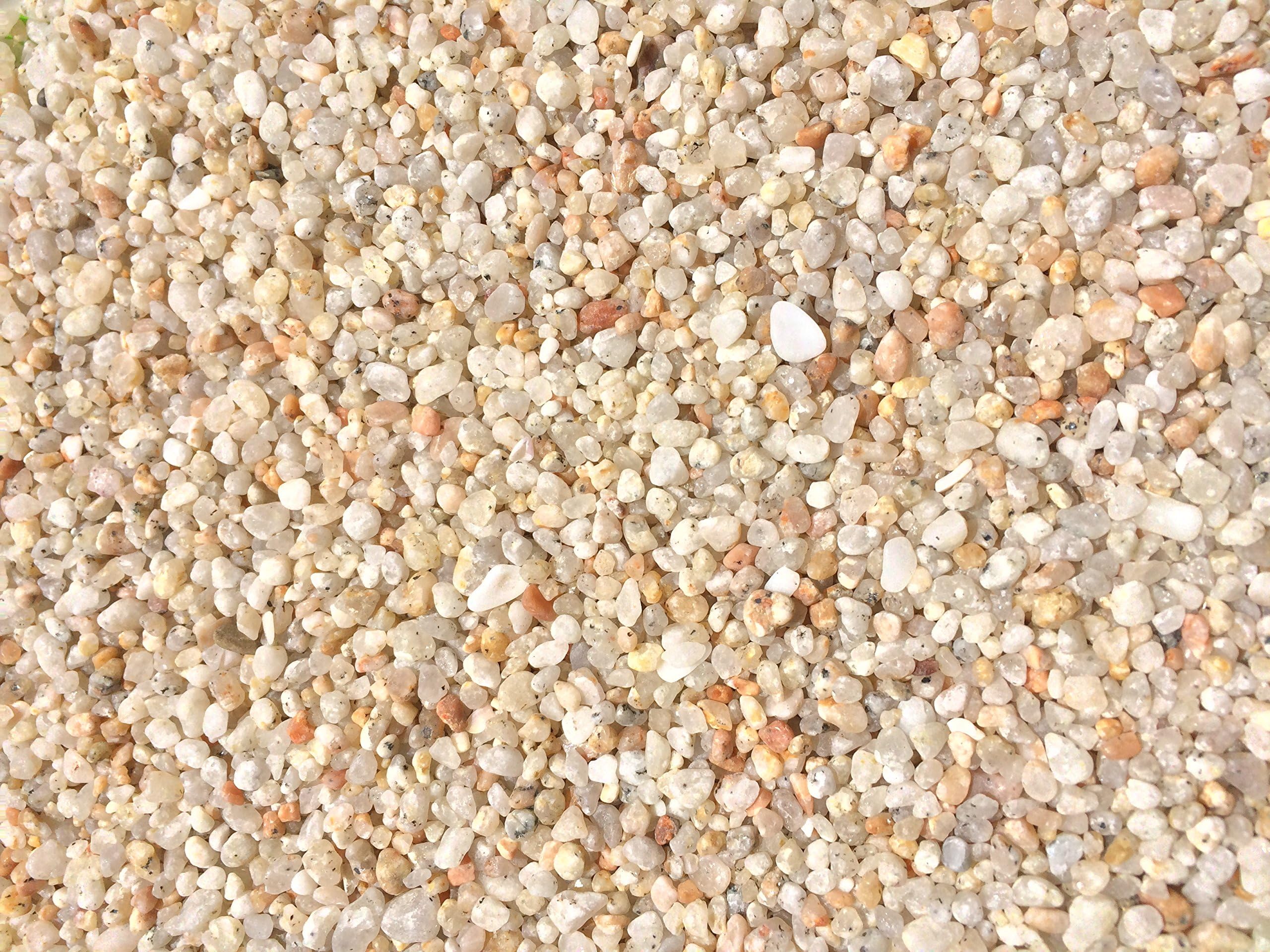 Garden Bloom Authentic Mexican Beach Pebbles 1/4 Inch - Perfect for Succulents, Aquariums, Terrariums, Fairy Gardens, All Landscape Applications (5 LB)