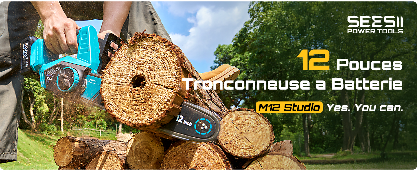 Petite Tronconneuse A Batterie Tronconneuse A Batterie Mini Tronçonneuse U00e9lectrique Sans Fil De 15,2 Cm Avec 2 Batteries Et 2 Chaînes, Petite Scie U00e0 Chaîne Portable Avec Verrou De Sécurité, Pour Couper