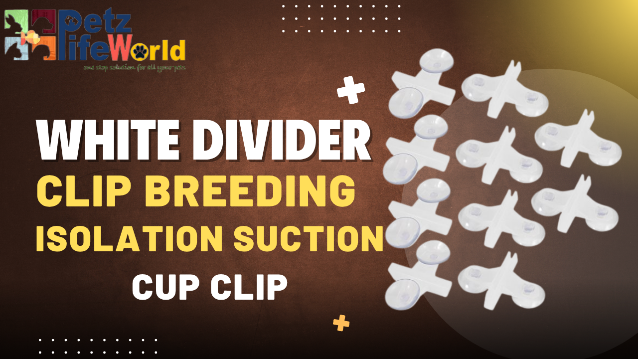 Aazon.co : DGZZI Suction Cup Holder 12PCS White Aquariu Fish Tank