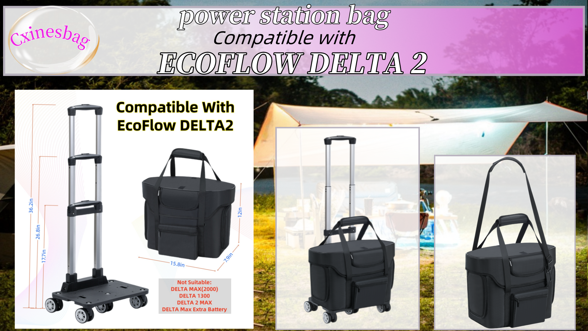 Amazon.com: Carrying Case Compatible with ECOFLOW DELTA 2,Portable