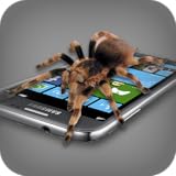 Funny Spider On Hand