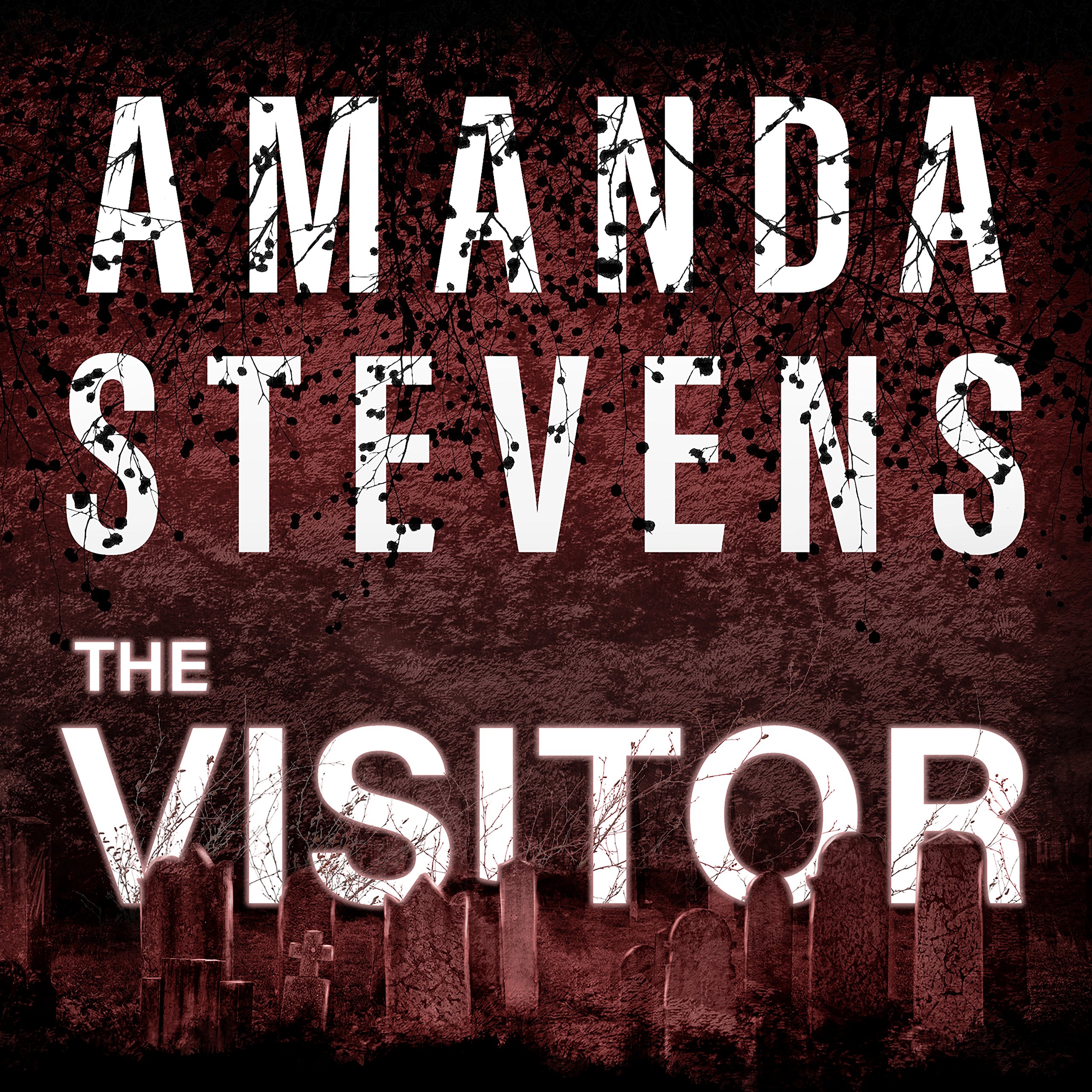 Cover art for The Visitor: Graveyard Queen, Book 4