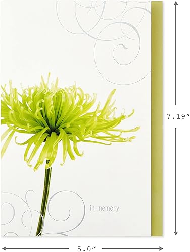 Miniatura 2 de Hallmark - Tarjetas de condolencia surtidas flores 12 tarjetas y sobres