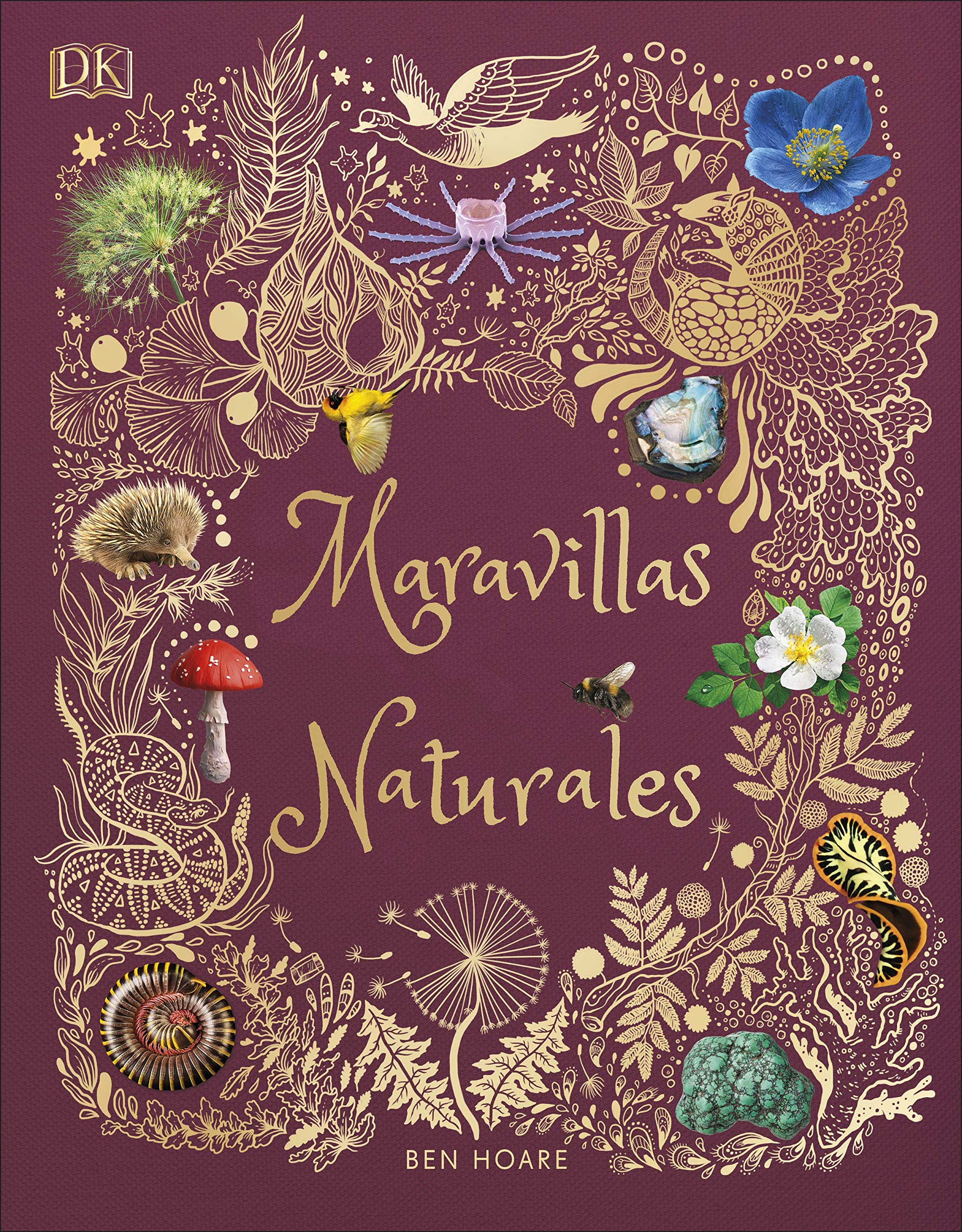 Maravillas naturales (DK Infantil)