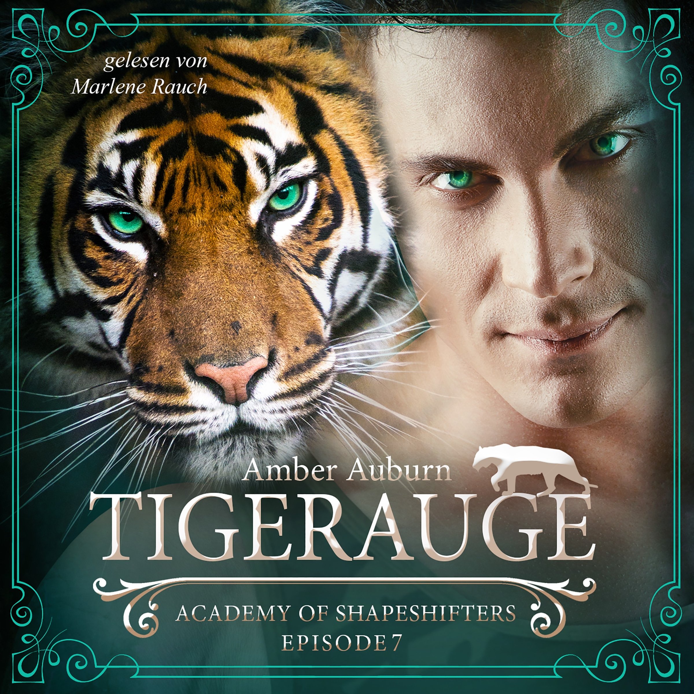 Cover art for Tigerauge