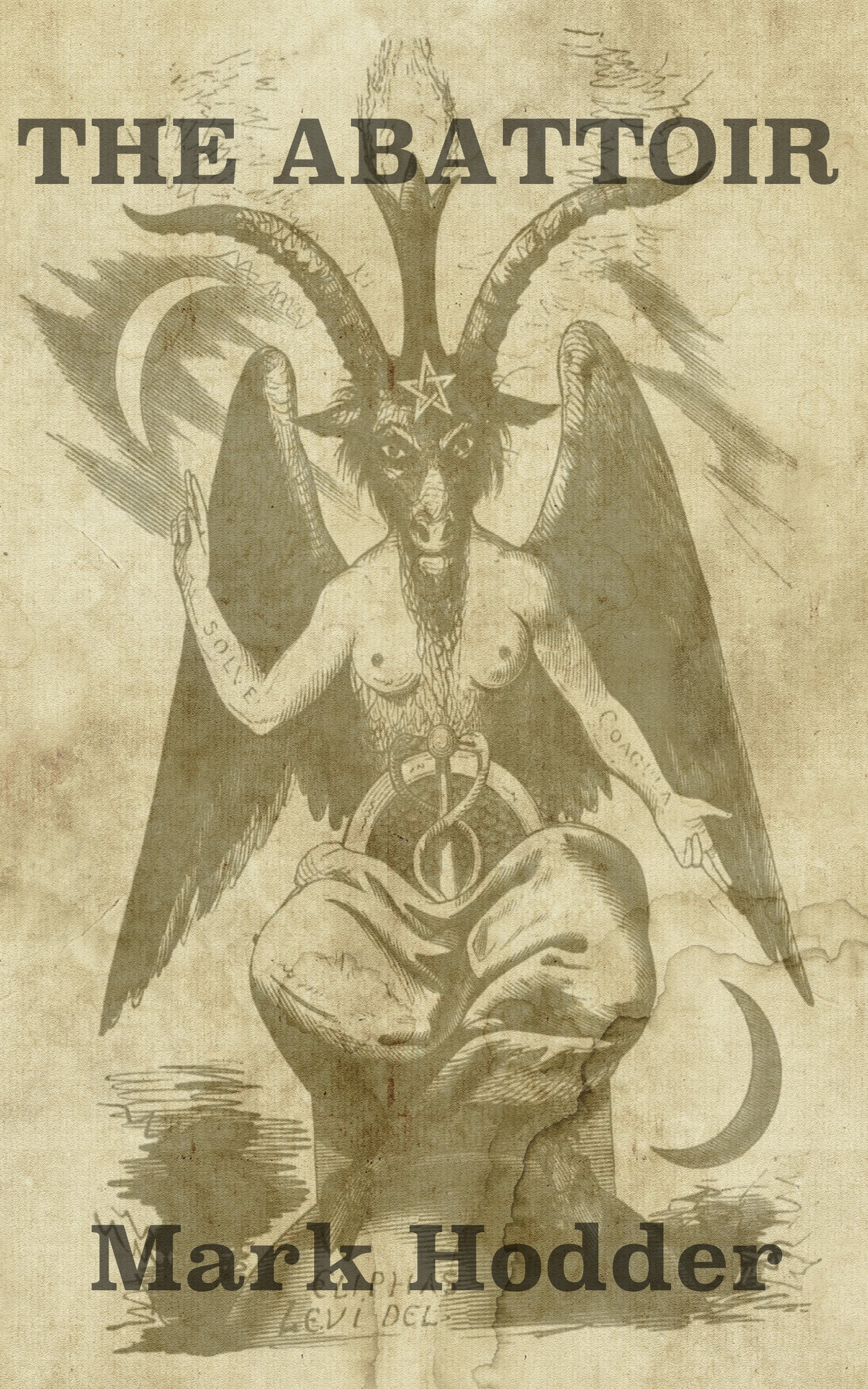 Cover of The Abattoir