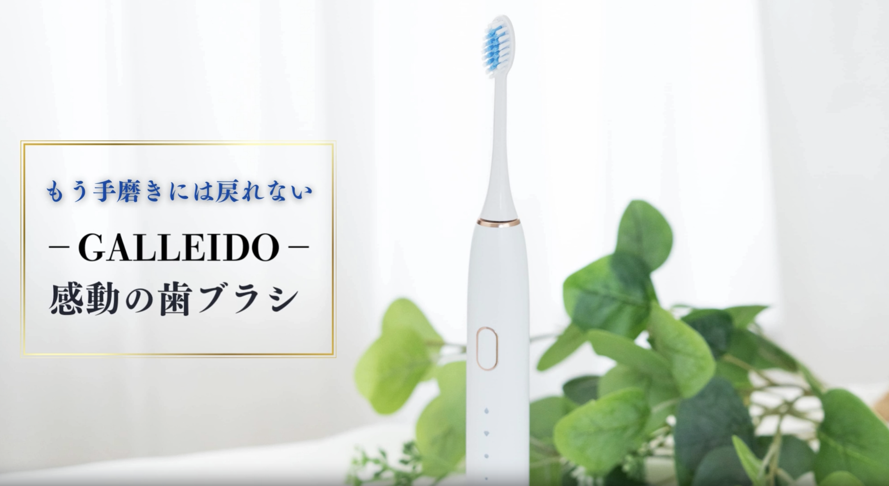 Amazon.co.jp: 電動歯ブラシ 音波歯ブラシ GALLEIDO 超音波振動
