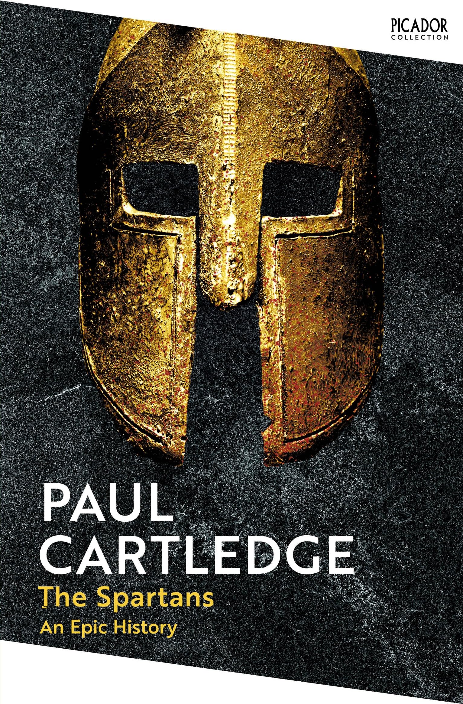 The Spartans: An Epic History (Picador Collection)