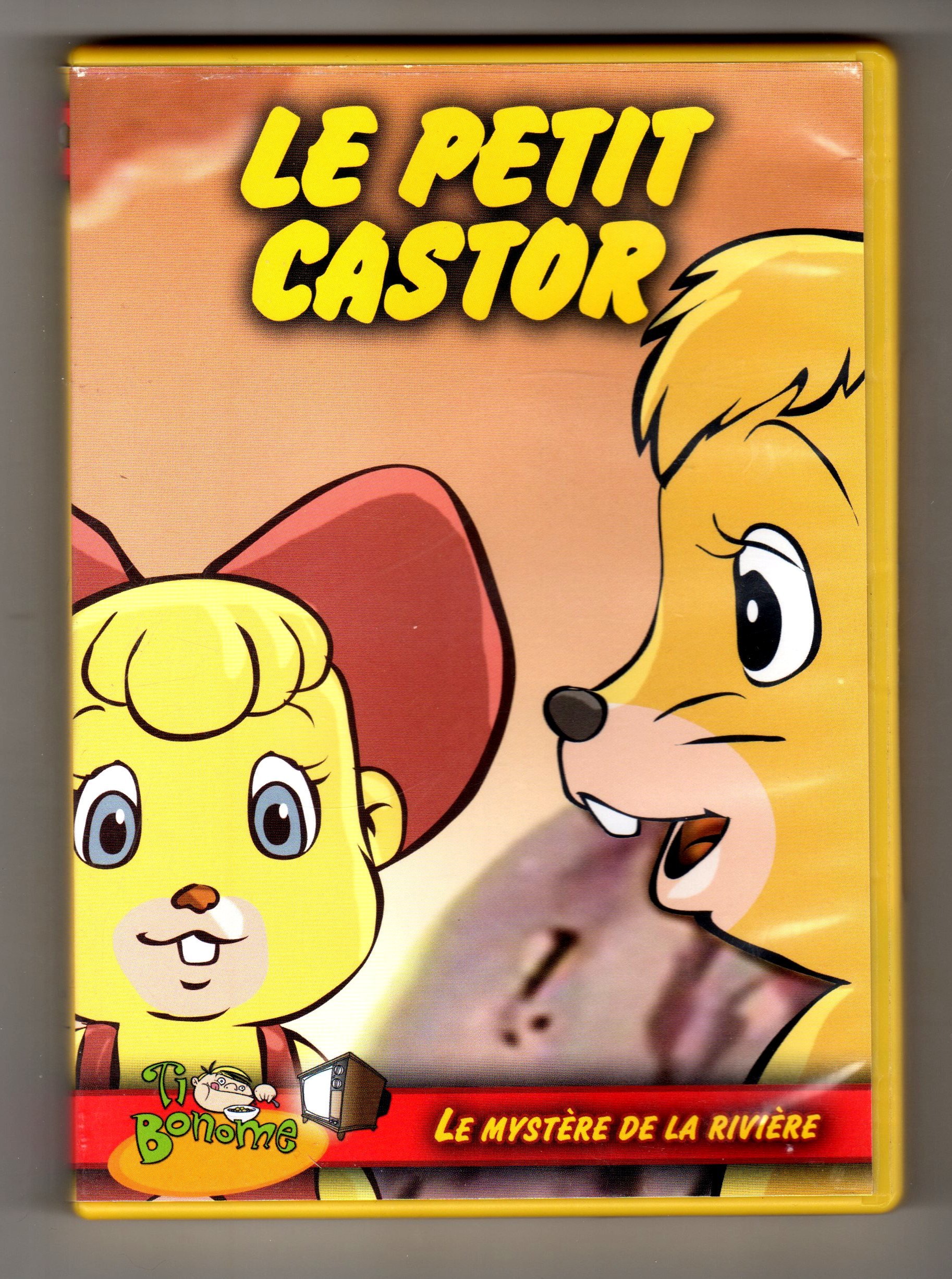 Le Petit Castor / V6 Le Mystère De La Rivière (Version française) [DVD]